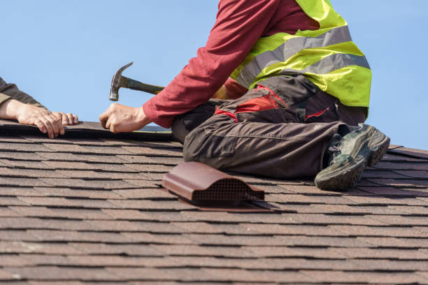 Best Local Roofing Companies  in Albion, MI