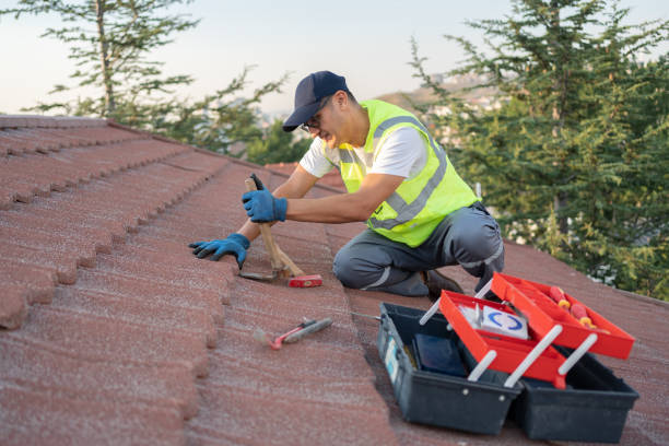 Best Emergency Roof Repair  in Albion, MI