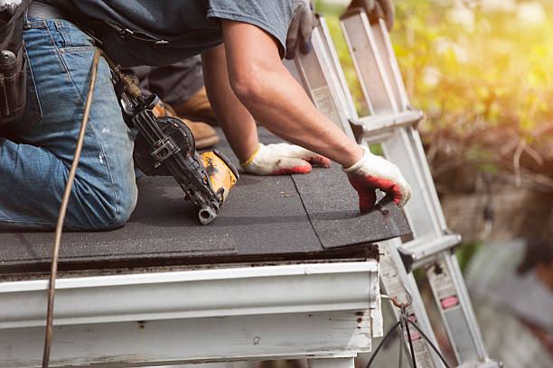 Best Roof Gutter Cleaning  in Albion, MI