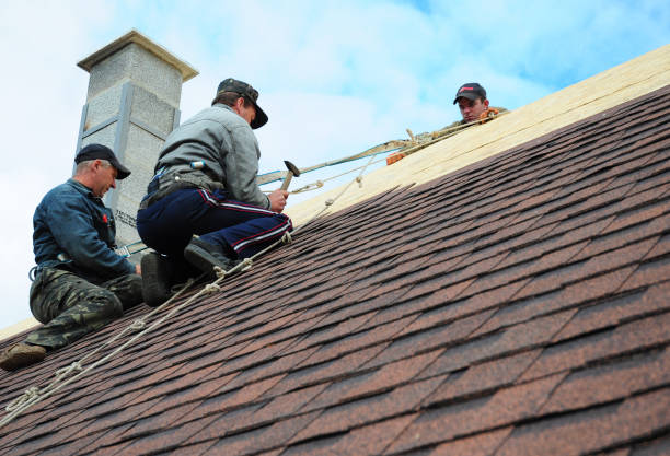 Best Best Roofing Contractors  in Albion, MI